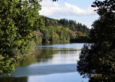 Bei den Waldgeistern am Herrenbachstausee 37 Herrenbachstausee