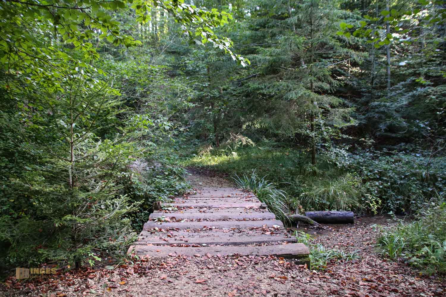 der Barfusspfad beim Herrenbachstausee Kreis Göppingen 0294 der Barfusspfad beim Herrenbachstausee Kreis Göppingen 0294