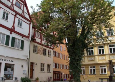 Weinmarkt in Nördlingen