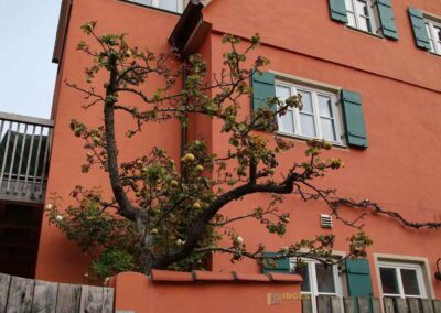 Lange Gasse in Nördlingen
