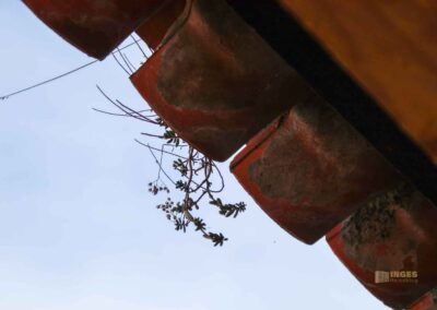 Stadtmauerrundgang in Nördlingen