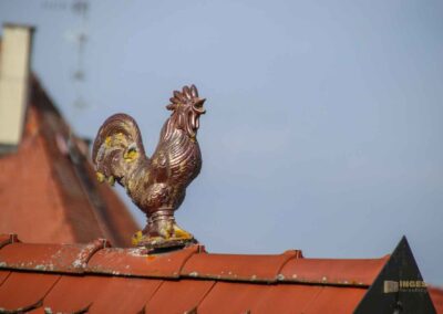 Stadtmauerrundgang in Nördlingen
