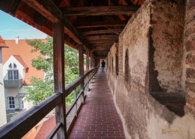 Stadtmauerrundgang in Nördlingen