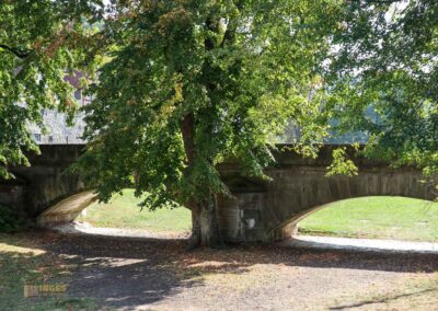 Grasbödele und Kocherinsel Unterwöhrd in Schwäbisch Hall