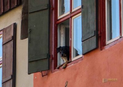 Kirchhöflein beim Münster St. Georg in Dinkelsbühl