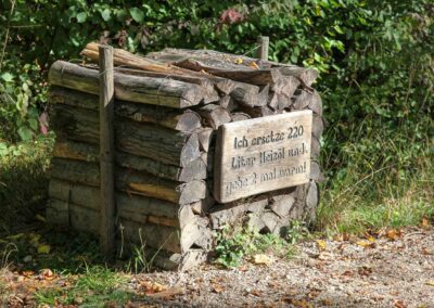 Bei den Waldgeistern am Herrenbachstausee 12 Waldlehrpfad am Herrenbachstausee