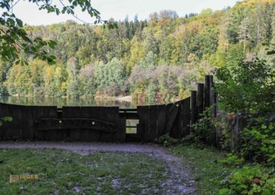 Bei den Waldgeistern am Herrenbachstausee 50 Waldlehrpfad am Herrenbachstausee