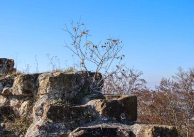 Burgruine Hohenrechberg 0210