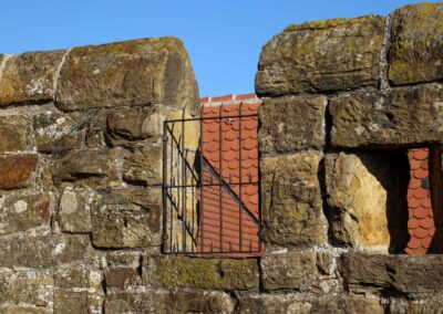 Burgruine Hohenrechberg 0263