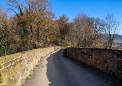 Burgruine Hohenrechberg 0320