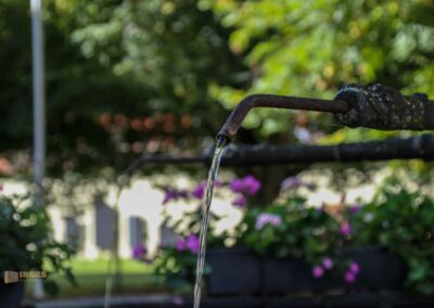 Kloster in Königsbronn