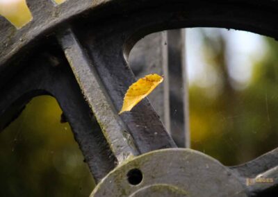 am Brenztopf in Königsbronn