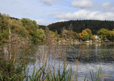 Itzelberger See bei Königsbronn