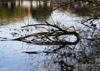 Itzelberger See bei Königsbronn