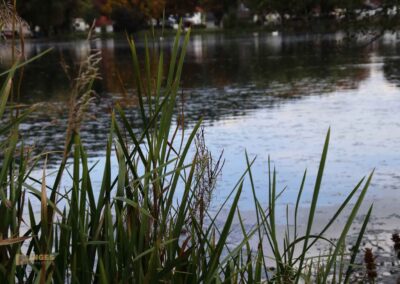 Itzelberger See bei Königsbronn