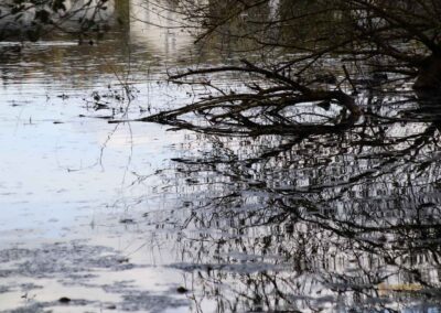 Itzelberger See bei Königsbronn