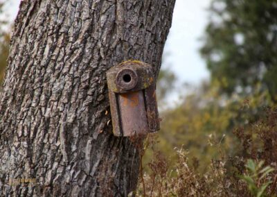 Itzelberger See bei Königsbronn