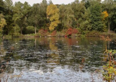 Itzelberger See bei Königsbronn