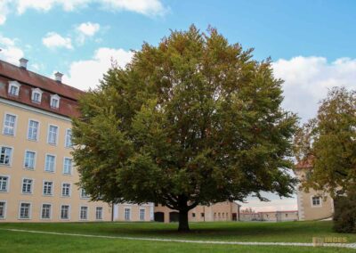 Ostflügel Schloss ob Ellwangen
