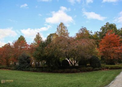 Garten im Schloss ob Ellwangen