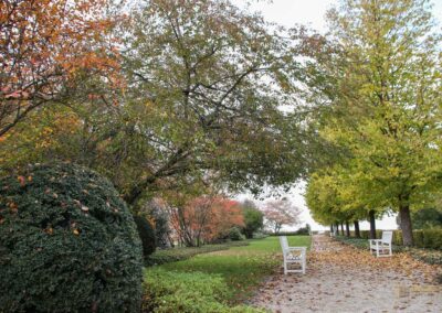 Garten im Schloss ob Ellwangen