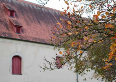 Stallung Schloss ob Ellwangen