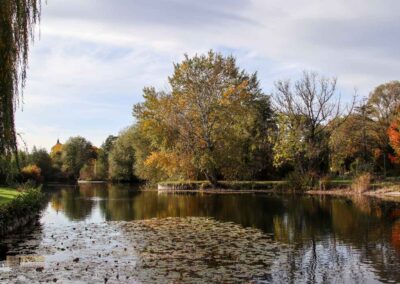 Beim Talauesee in Waiblingen 1086