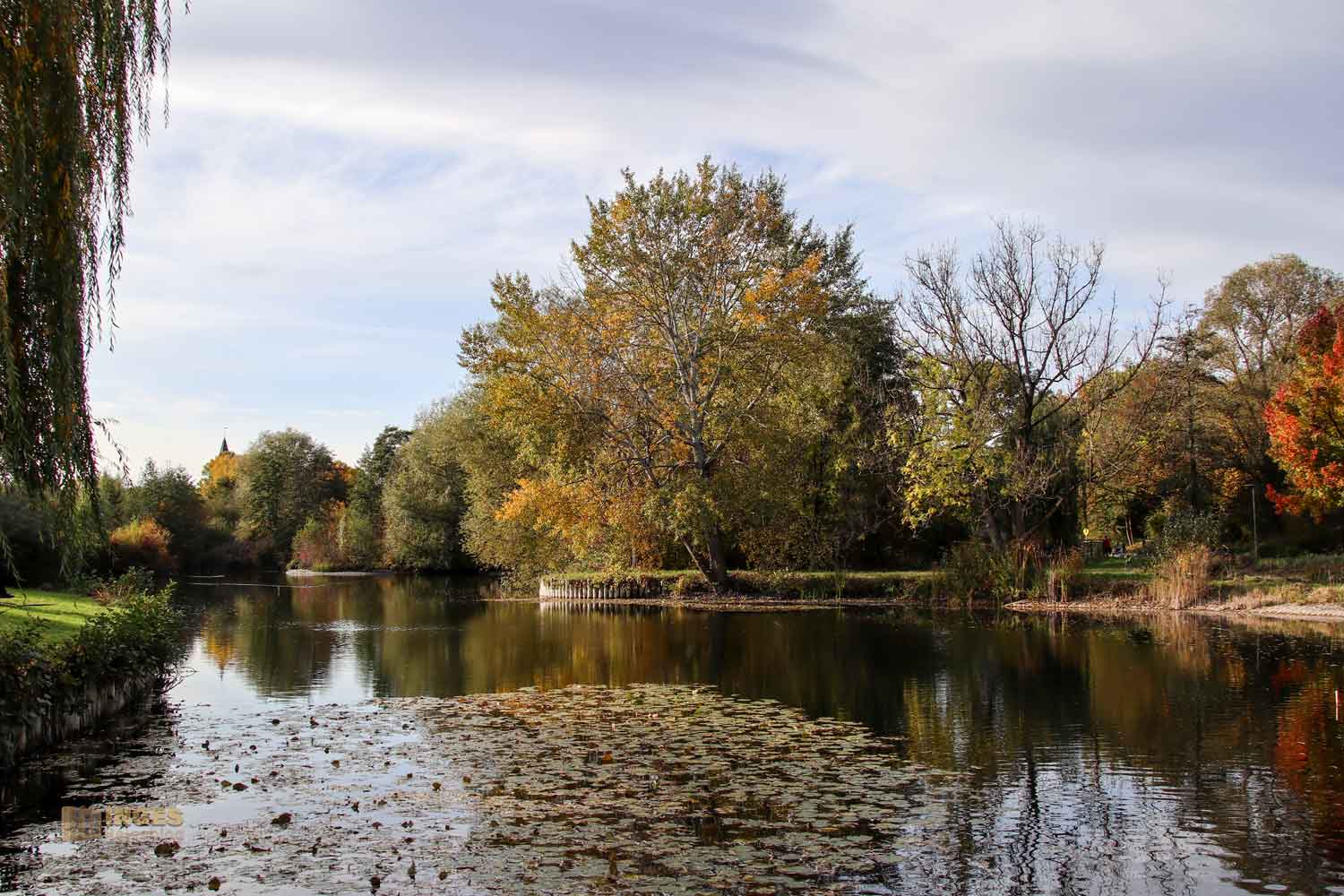 Beim Talauesee in Waiblingen 1086