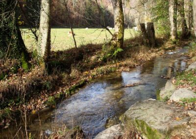 Brühlbach bei Bad Urach 0062