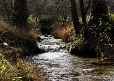 Brühlbach bei Bad Urach 0086