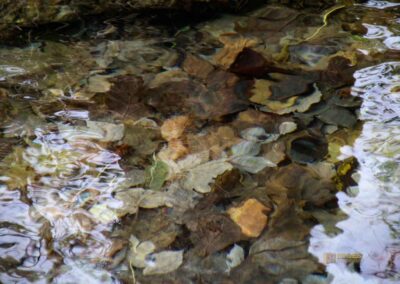 Brühlbach bei Bad Urach 0099