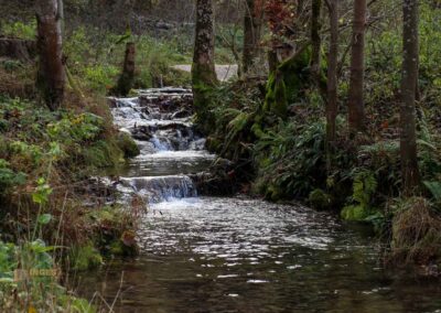Brühlbach bei Bad Urach 0108