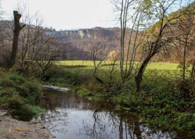 Brühlbach bei Bad Urach 0127