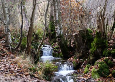 Brühlbach bei Bad Urach 0165