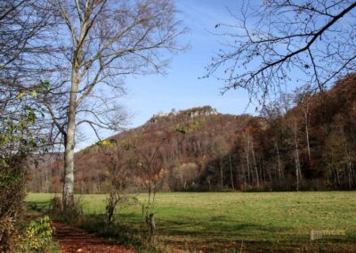 Burgruine Hohenurach 0379