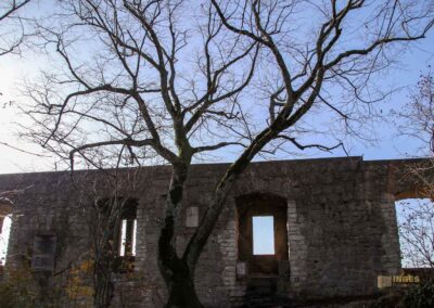 Burgruine Rosenstein 1133