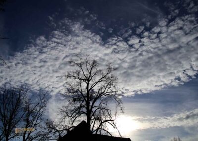 In der Stiftskirche in Faurndau 54 Himmel über Faurndau 0779