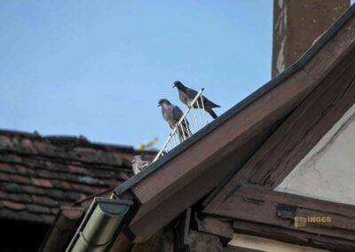 Hochwachtturm Waiblingen 4892