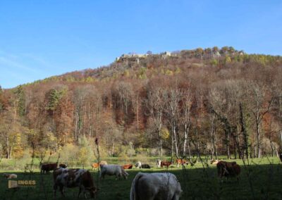 Im Maisental bei Bad Urach 0429