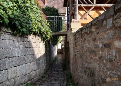 Mauergang in Waiblingen 0129