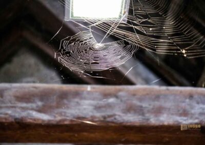 Mauergang in Waiblingen 0221