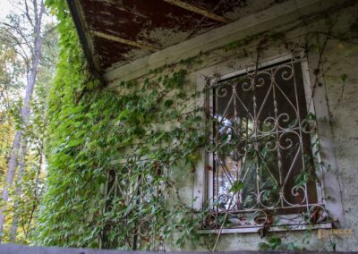 Mauergang in Waiblingen 0248