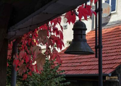 Mauergang in Waiblingen 0263