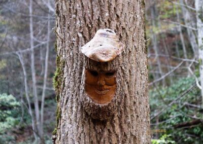 Natur im Maisental beim Uracher Wasserfall 0313