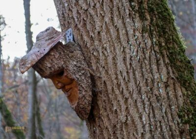 Natur im Maisental beim Uracher Wasserfall 0314