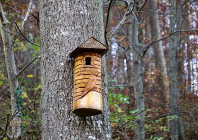 Natur im Maisental beim Uracher Wasserfall 0457