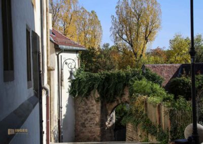 Nikolauskirche Waiblingen 0712