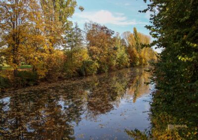 Rems Talaue Waiblingen 1017