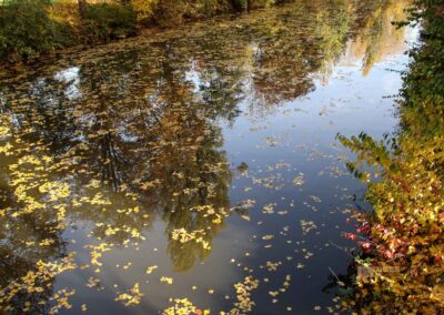 Rems Talaue Waiblingen 1020