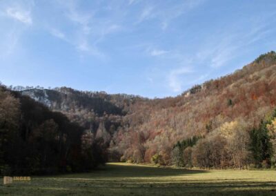 Rutschenfelsen beim Uracher Wasserfall 0399